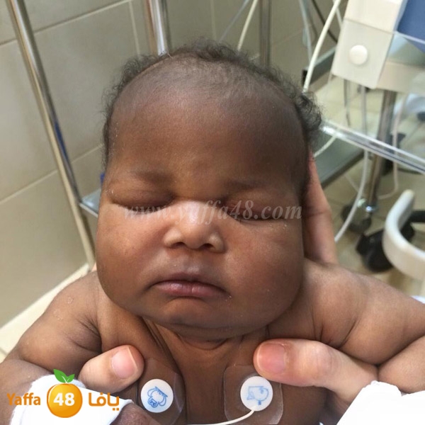 Maisa2 abo nar 3 (6).JPG